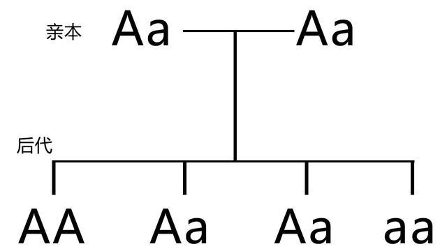 4AA是什么【4AA是什么?解析4AA的含义】