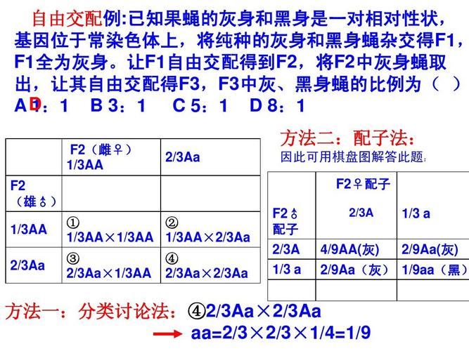 3aa是什么意思(3aa的含义是什么?)