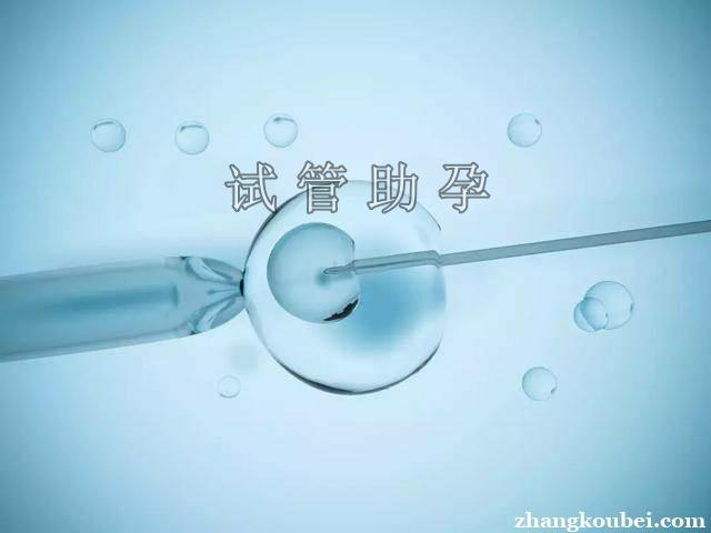 50岁借卵试管成功案例-50岁借卵试管成功案例揭秘