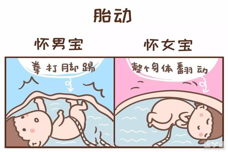 包生男孩包生男孩-包生男孩：一个特殊孩子的成长故事