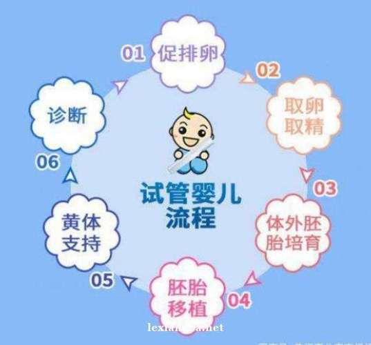 包成功试管代怀(成功试管代怀：包生育服务全攻略)