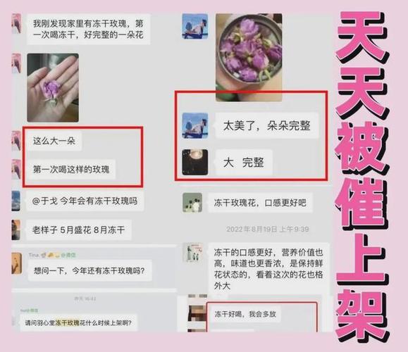 包成功试管代怀哪家放心-哪家代怀孕机构包成功试管让您放心