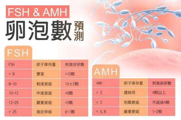 52岁试管借卵成功率-52岁试管借卵成功率:一项全面分析