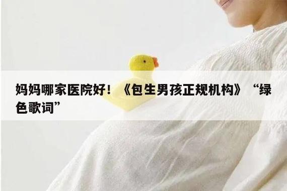 包生男孩成功率高不高(包生男孩成功率究竟有多高?)