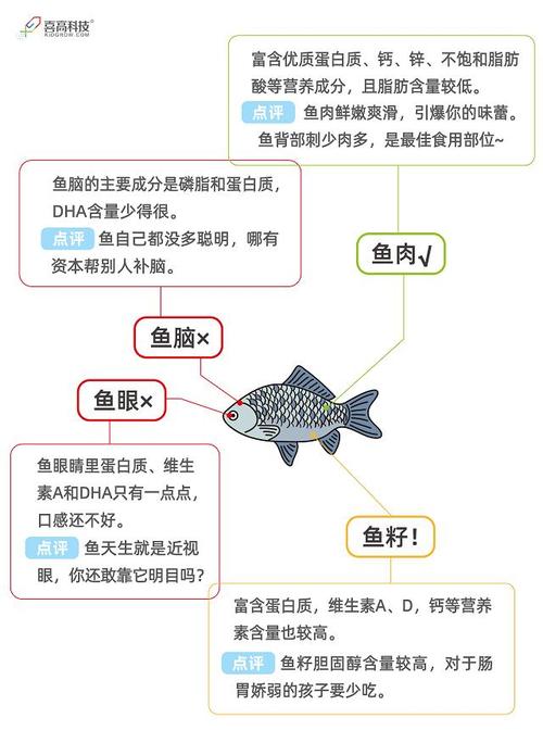 捐卵代孕宝宝吃鱼有什么好处