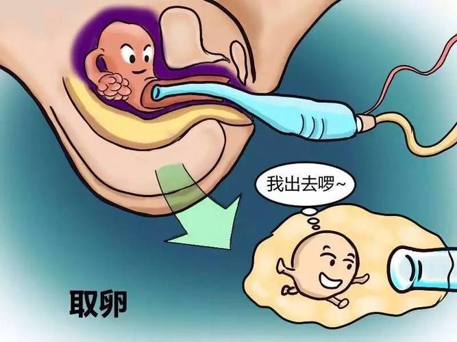 供卵代生宝宝为什么不能吃糖